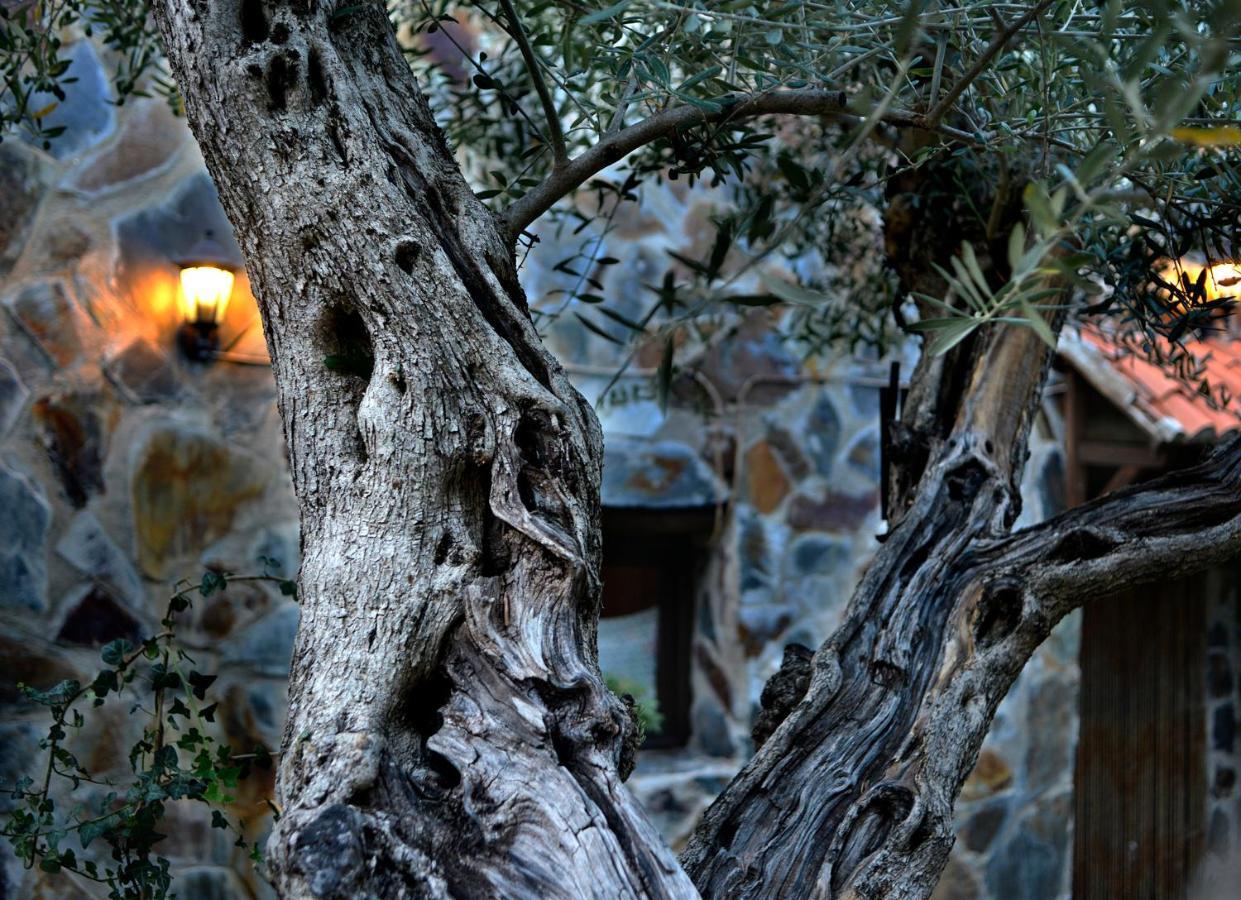 Hostal La Casita De Leire Tamajon Exterior foto