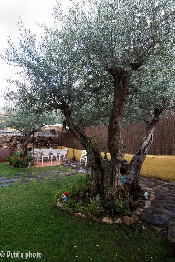 Hostal La Casita De Leire Tamajon Exterior foto