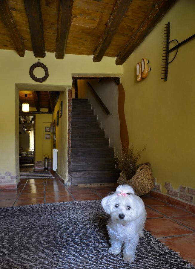 Hostal La Casita De Leire Tamajon Exterior foto